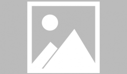 我要办税,轻松实现税事无忧