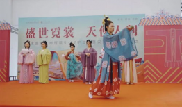 汉服走秀视频,穿越时空的时尚盛宴
