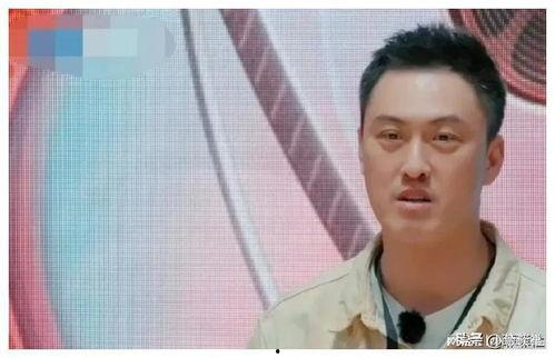 娱乐圈嘴形吃瓜,揭秘明星幕后真相  第2张